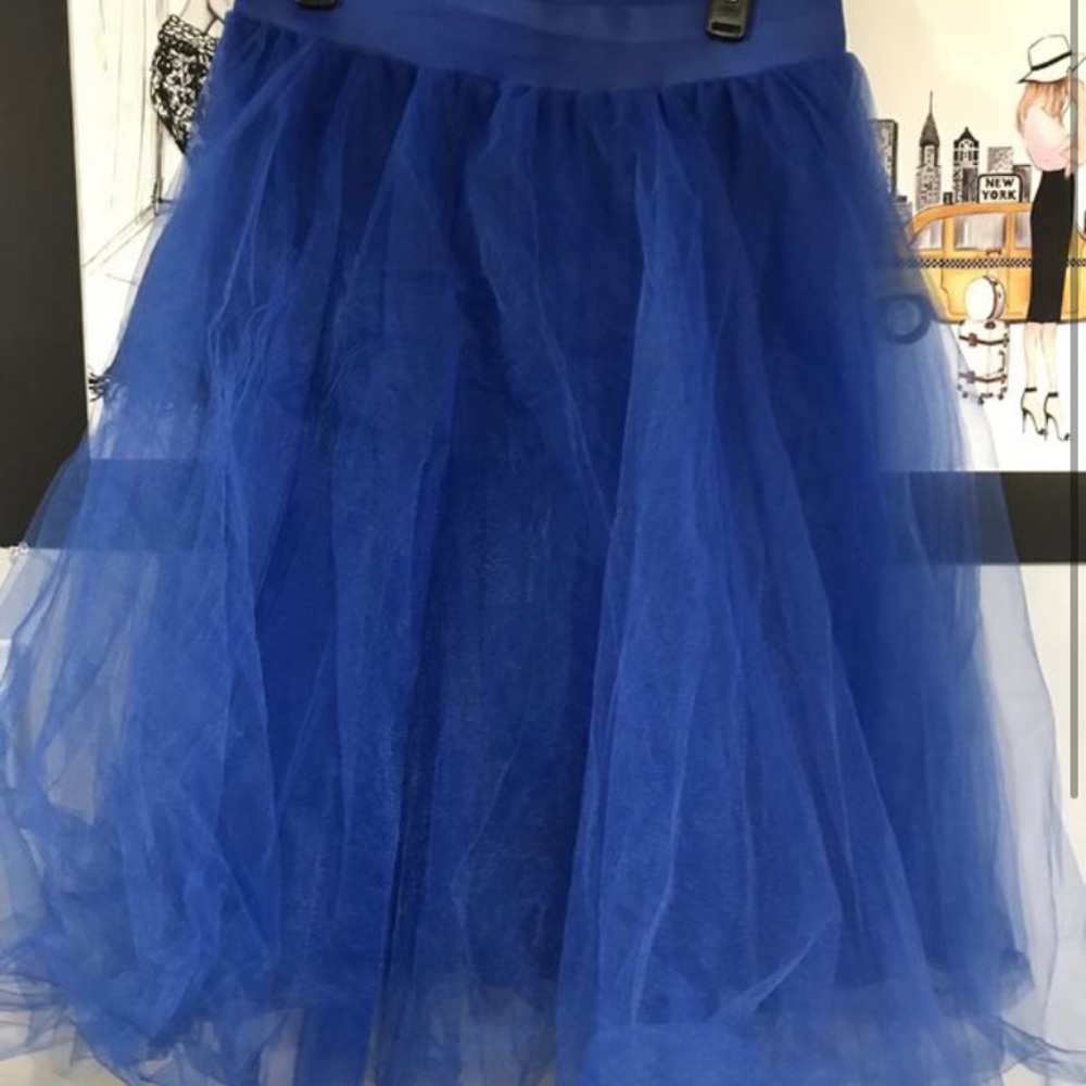 Blue tulle skirt